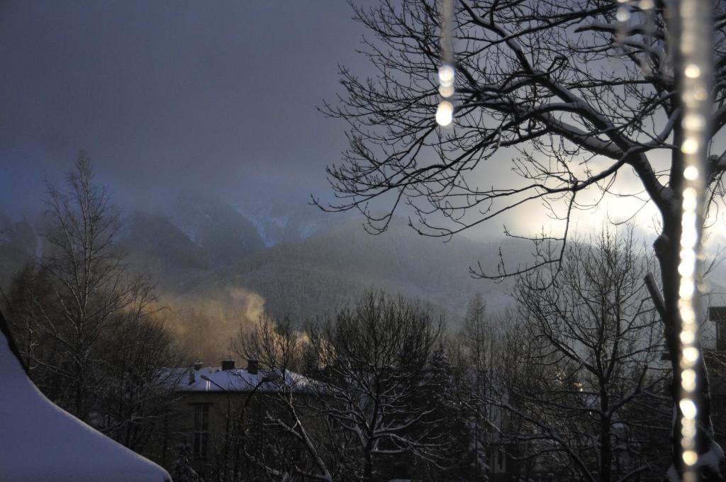 Willa Zlocien Zakopane Quarto foto